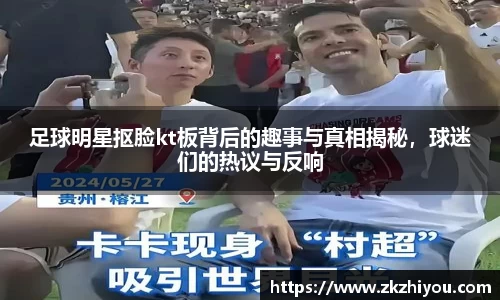 28圈体育